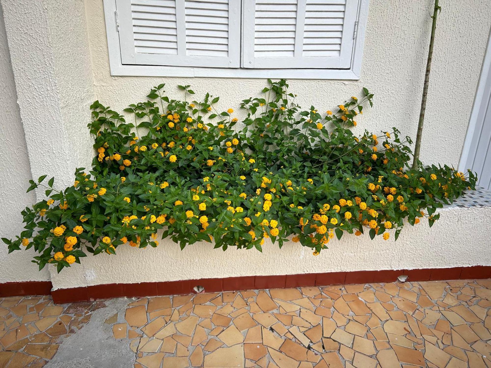 Holiday home Casa De Em A 200 Metros Do Mar *